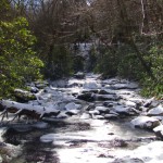 Snowy brook trout stream