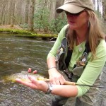Charity Shows Cataloochee Brown Trout