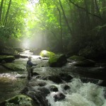 Fly fisher in misty light on Smoky Mountain trout stream
