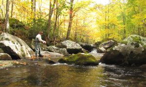 Smokies Autumn Fishing Scene