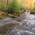 Fly fisher amid fall color