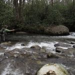 Smoky Mountain fly fisher