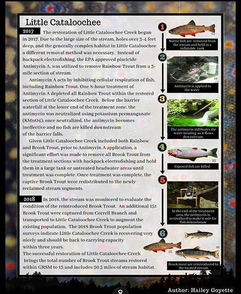 GSMNP fisheries newsletter graphic