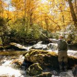 autumn colors on the stream fly fishing in the Smokies
