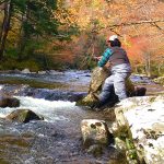 fly fishing the Smokies on a fall afternoon