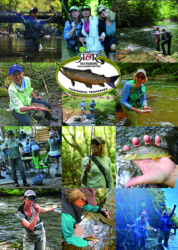 Fly Fishing for Brook Trout in Great Smoky Mountains National Park