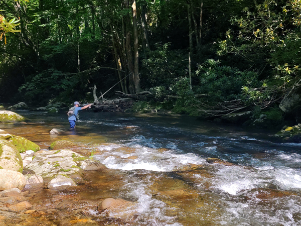 Summer Fly Fishing in the Smokies