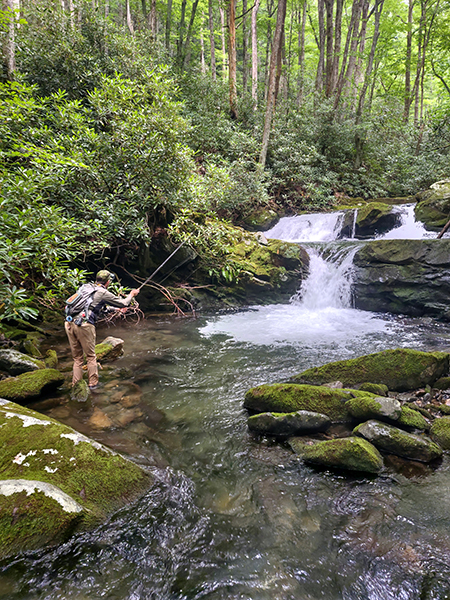 Fly fishing a backcountry creek for brook trout in the Smoky Mountains
