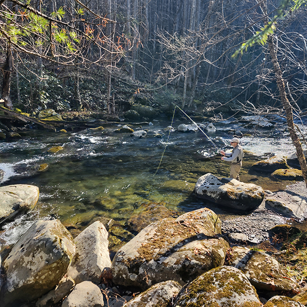 Winter day fly fishing in the Smokies