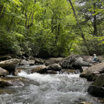 A fly fisher on a boulder strewn stream in the Smokies