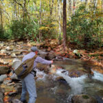 A fly fisher casts for trout on a fall day in the Smoky Mountains