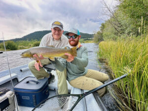 Madison River Brown Trout