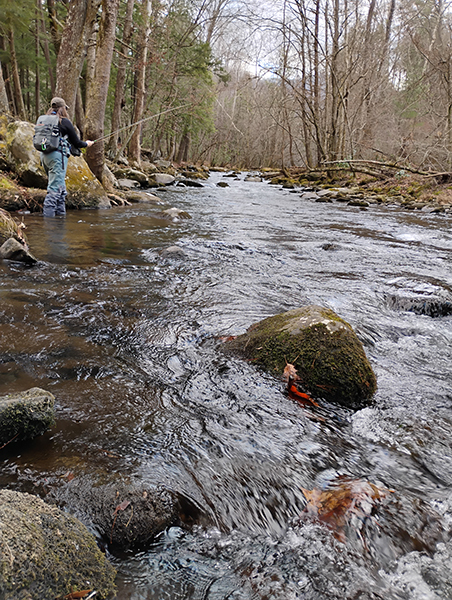 Charity Rutter fly fishes Great Smoky Mountains National Park