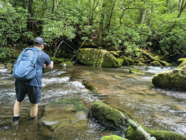 Fly fishing for wild trout in Great Smoky Mountains National Park