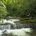 Fly fisher in the Smokies