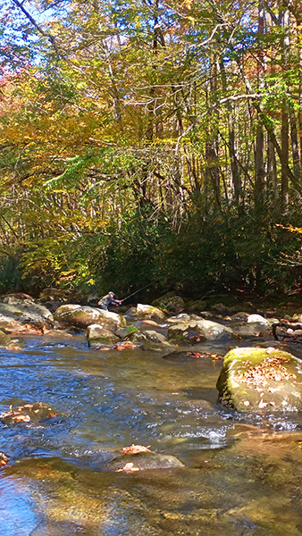 fall fishing in the Smoky Mountains